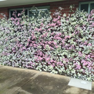 Blossom Wall 1